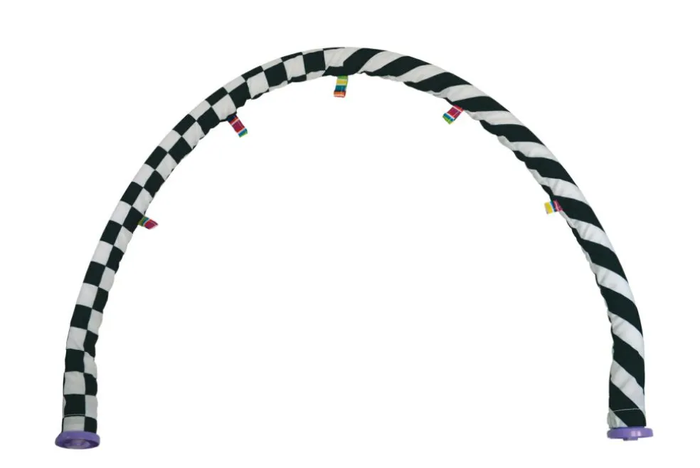 Freddie The Firefly Gym