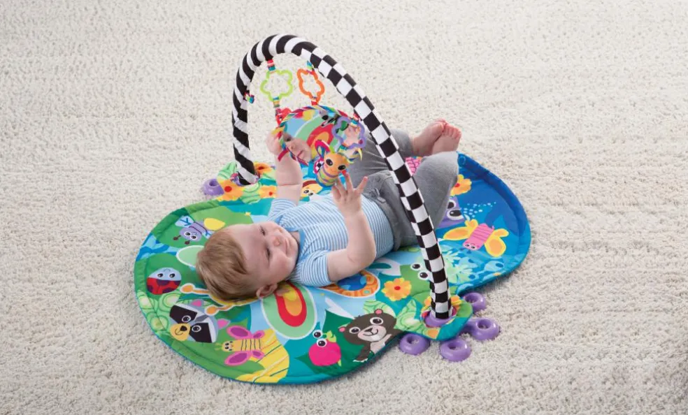 Freddie The Firefly Gym