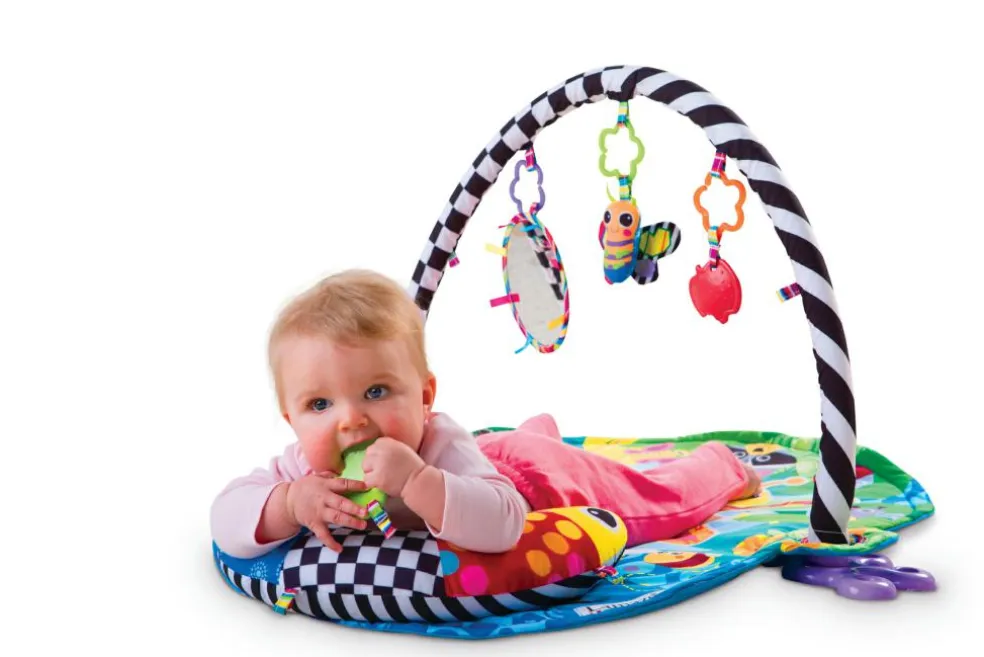 Freddie The Firefly Gym