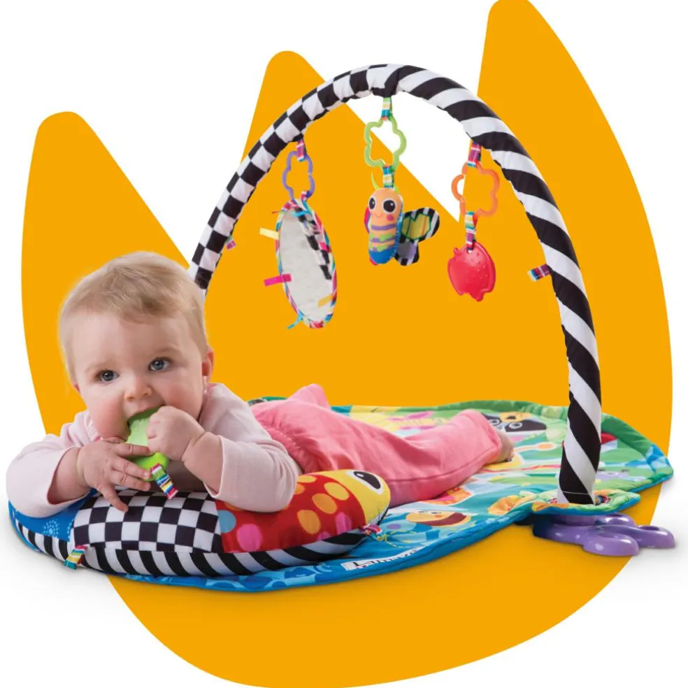 Freddie The Firefly Gym