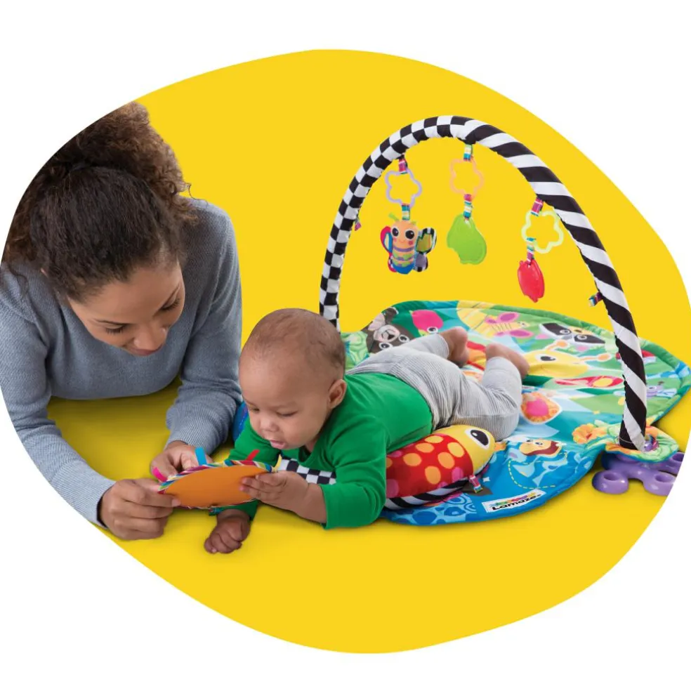 Freddie The Firefly Gym