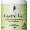 Gastro Gel