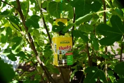 Genopfyldelig fluefælde, inkl. lokkem.