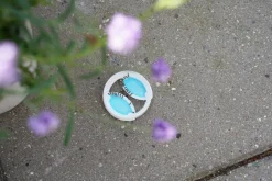 Genopfyldelig myrelokkedåse