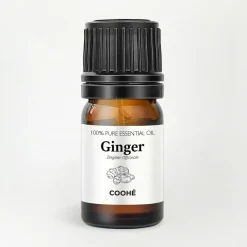 Ginger Essential Oil