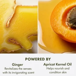 Ginger Souffle Whipped Hydrating Body Cream