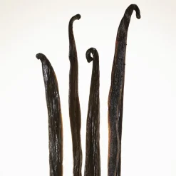 Goddess Eau de Parfum Intense