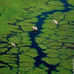 Granada Salvia Eau de Toilette