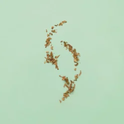 Guilty Pour Homme Eau de Toilette for Men