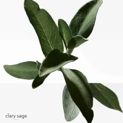 H24 Eau De Toilette Natural Spray