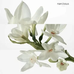 H24 Eau De Toilette Natural Spray