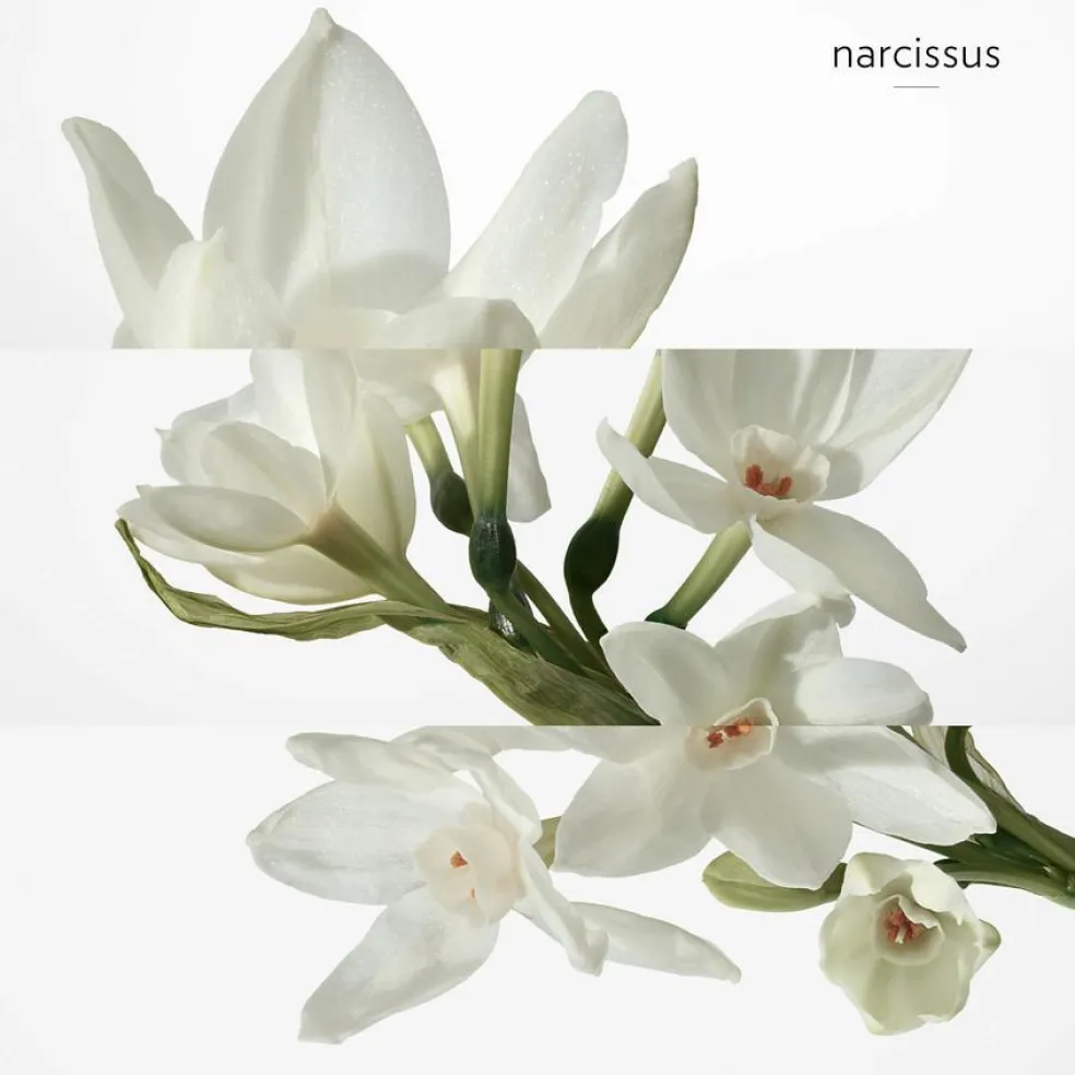 H24 Eau De Toilette Natural Spray