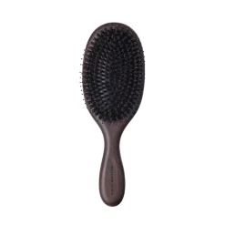 Hair Brush Everyday