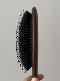 Hair Brush Everyday