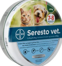 Halsbånd til Hund og Kat