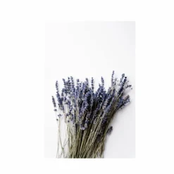 Hand Refreshing Spray