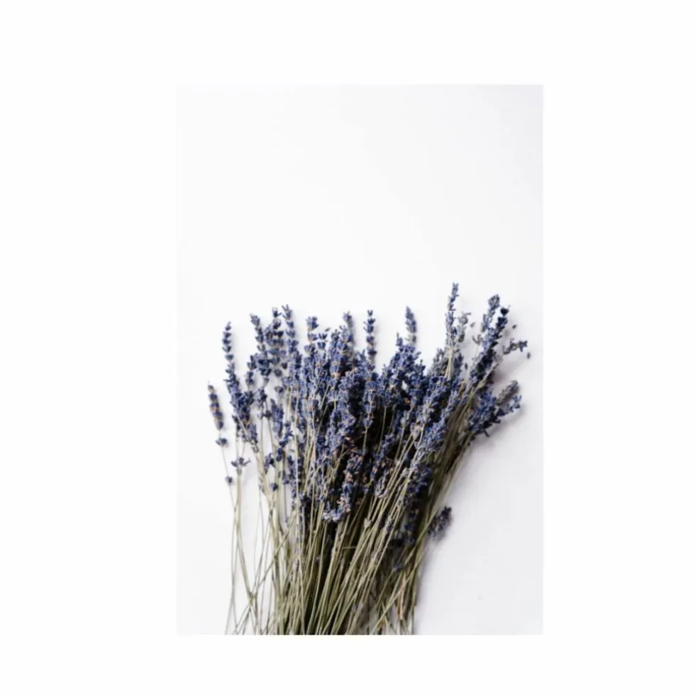 Hand Refreshing Spray