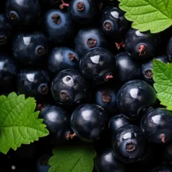 Homme Energy Deo Stick