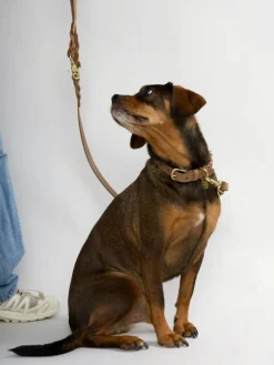 Hugo flettet Halsbånd