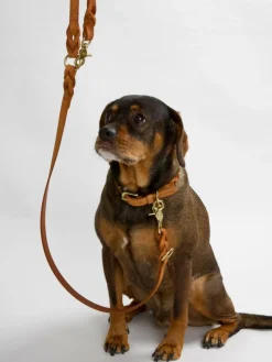 Hugo flettet Halsbånd