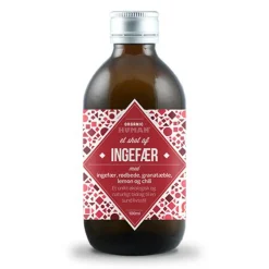 HUMAN Ingefær shot Ø