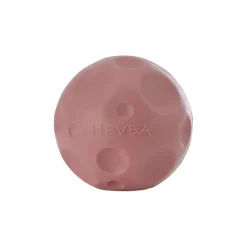 Hunde Aktivitets Bold