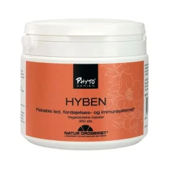Hyben 485 mg