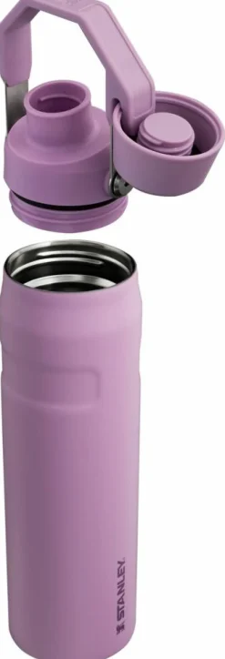 IceFlow Water Bottle Fast Flow 0,6 L