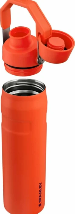 IceFlow Water Bottle Fast Flow 0,6 L