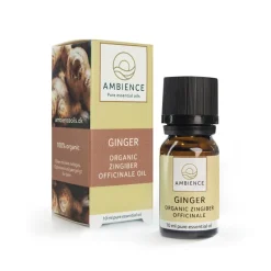 Ingefær Olie Økologisk