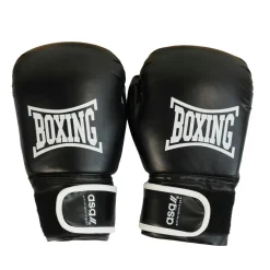 Junior Boksesæt (Handsker + Boksepude