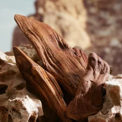 K by Dolce&Gabbana Parfum