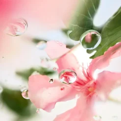 Les O ver The Top Eau de Toilette