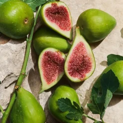 Light Blue Capri in Love Pour Homme Eau de Parfum