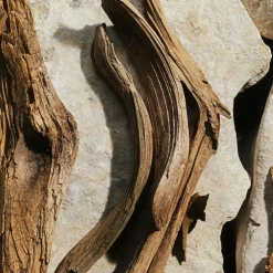 Light Blue Eau de Toilette