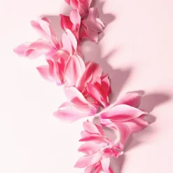 L'Imperatrice Eau de Toilette