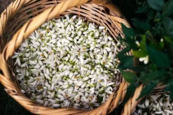 L'Interdit Eau de Parfum