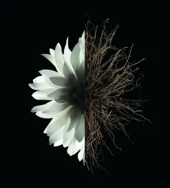 L'Interdit Eau de Parfum