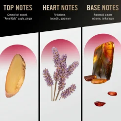 Loyal Man Eau de Parfum for Men