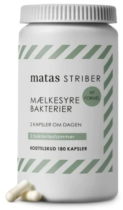 Matas Mælkesyrebakterier