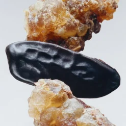 Myrrh & Tonka Cologne Intense