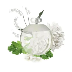 Noa Eau de Toilette