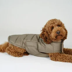 Nora Dog Coat
