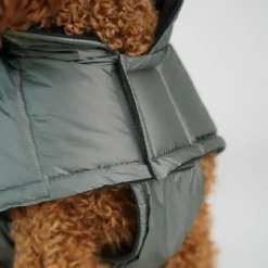 Nora Dog Coat