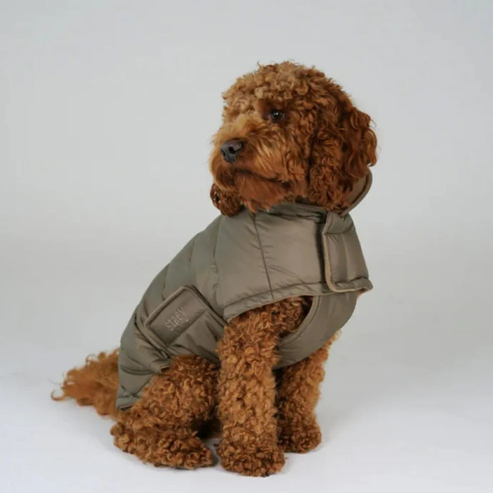 Nora Dog Coat