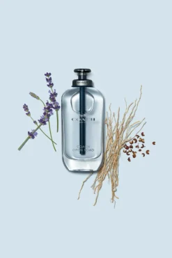 Open Road Eau de Toilette