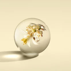 Orange & Bergamot Scented Candle