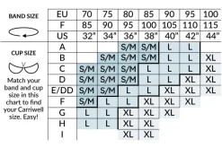 Original Graviditets og Amme Bh 2-pak