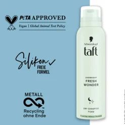 Overnight Fresh Wonder Dry Shampoo Foam