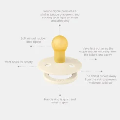 Pacifier Studio Colour 2 Pack